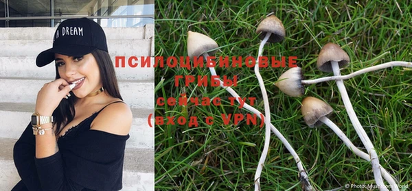 a pvp Баксан